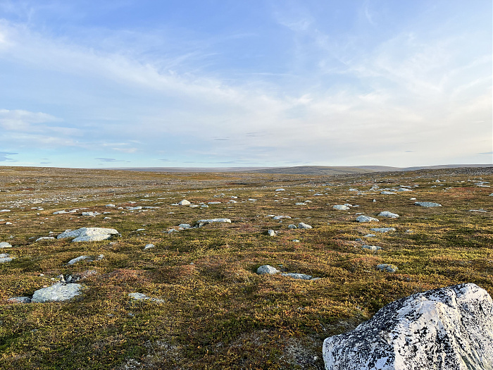 Klicke auf die Grafik für eine vergrößerte Ansicht  Name: 20230-09 Varanger - 001834.jpg Ansichten: 0 Größe: 5,07 MB ID: 3255256