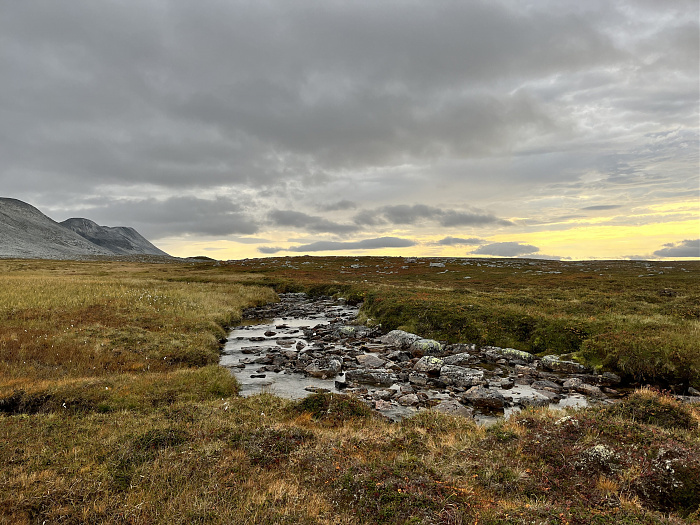 Klicke auf die Grafik für eine vergrößerte Ansicht  Name: 20230-09 Varanger - 001848.jpg Ansichten: 0 Größe: 4,10 MB ID: 3255291