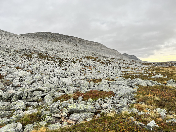 Klicke auf die Grafik für eine vergrößerte Ansicht  Name: 20230-09 Varanger - 001850.jpg Ansichten: 0 Größe: 5,27 MB ID: 3255293