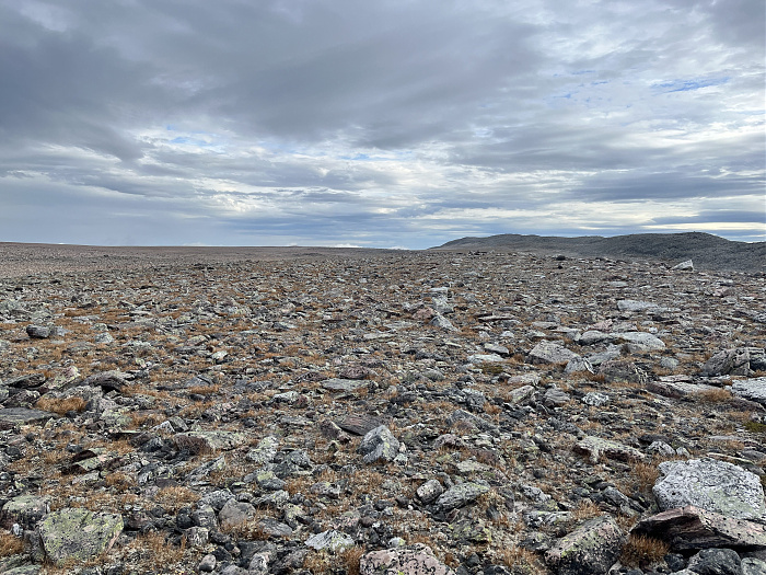Klicke auf die Grafik für eine vergrößerte Ansicht  Name: 20230-09 Varanger - 001887.jpg Ansichten: 0 Größe: 4,98 MB ID: 3255308