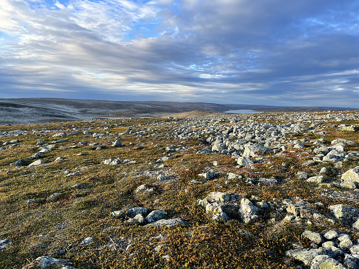 Klicke auf die Grafik für eine vergrößerte Ansicht  Name: 20230-09 Varanger - 001940.jpg Ansichten: 0 Größe: 6,21 MB ID: 3255326