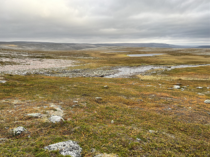 Klicke auf die Grafik für eine vergrößerte Ansicht  Name: 20230-09 Varanger - 001975.jpg Ansichten: 0 Größe: 6,50 MB ID: 3255370