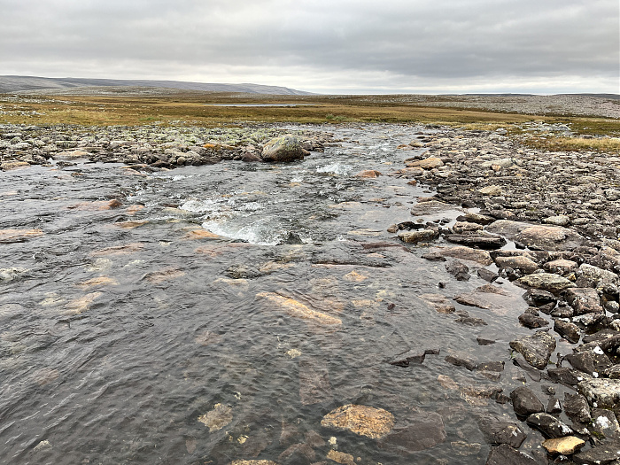 Klicke auf die Grafik für eine vergrößerte Ansicht  Name: 20230-09 Varanger - 001978.jpg Ansichten: 0 Größe: 4,95 MB ID: 3255371
