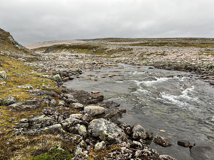Klicke auf die Grafik für eine vergrößerte Ansicht  Name: 20230-09 Varanger - 001977.jpg Ansichten: 0 Größe: 5,46 MB ID: 3255373