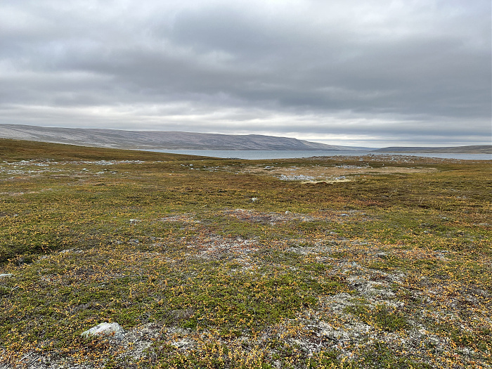 Klicke auf die Grafik für eine vergrößerte Ansicht  Name: 20230-09 Varanger - 001986.jpg Ansichten: 0 Größe: 5,84 MB ID: 3255378