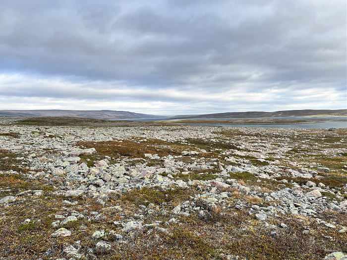 Klicke auf die Grafik für eine vergrößerte Ansicht  Name: 20230-09 Varanger - 001981.jpg Ansichten: 0 Größe: 5,33 MB ID: 3255379