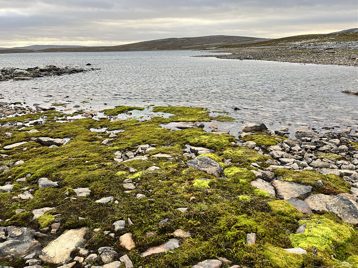 Klicke auf die Grafik für eine vergrößerte Ansicht  Name: 20230-09 Varanger - 001984.jpg Ansichten: 0 Größe: 6,23 MB ID: 3255380