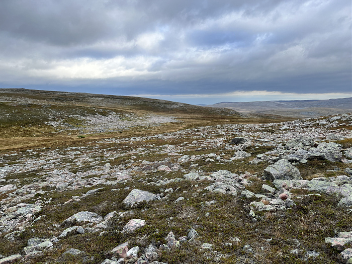 Klicke auf die Grafik für eine vergrößerte Ansicht  Name: 20230-09 Varanger - 002007.jpg Ansichten: 0 Größe: 5,10 MB ID: 3255385