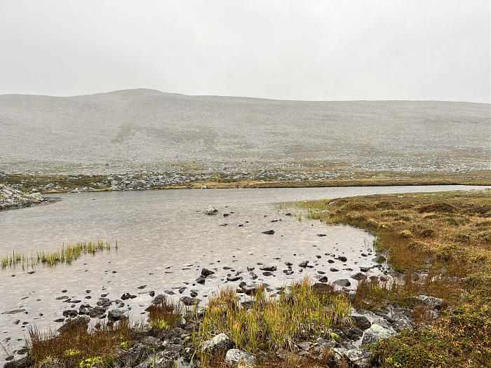 Klicke auf die Grafik für eine vergrößerte Ansicht  Name: 20230-09 Varanger - 002023.jpg Ansichten: 0 Größe: 4,52 MB ID: 3255390