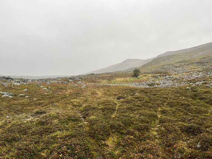 Klicke auf die Grafik für eine vergrößerte Ansicht  Name: 20230-09 Varanger - 002027.jpg Ansichten: 0 Größe: 4,83 MB ID: 3255394