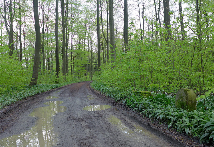 Klicke auf die Grafik für eine vergrößerte Ansicht  Name: Weserberglandweg_117.jpg Ansichten: 0 Größe: 258,7 KB ID: 3255427