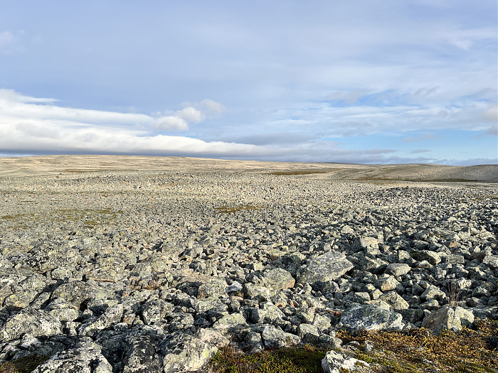 Klicke auf die Grafik für eine vergrößerte Ansicht  Name: 20230-09 Varanger - 002048.jpg Ansichten: 0 Größe: 5,13 MB ID: 3255449