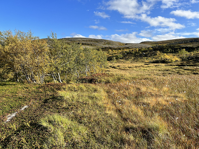 Klicke auf die Grafik für eine vergrößerte Ansicht  Name: 20230-09 Varanger - 002135.jpg Ansichten: 0 Größe: 8,26 MB ID: 3255472