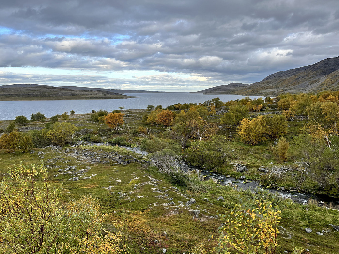 Klicke auf die Grafik für eine vergrößerte Ansicht  Name: 20230-09 Varanger - 002162.jpg Ansichten: 0 Größe: 5,34 MB ID: 3255478