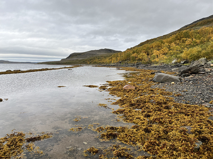 Klicke auf die Grafik für eine vergrößerte Ansicht  Name: 20230-09 Varanger - 002193.jpg Ansichten: 0 Größe: 4,88 MB ID: 3255515