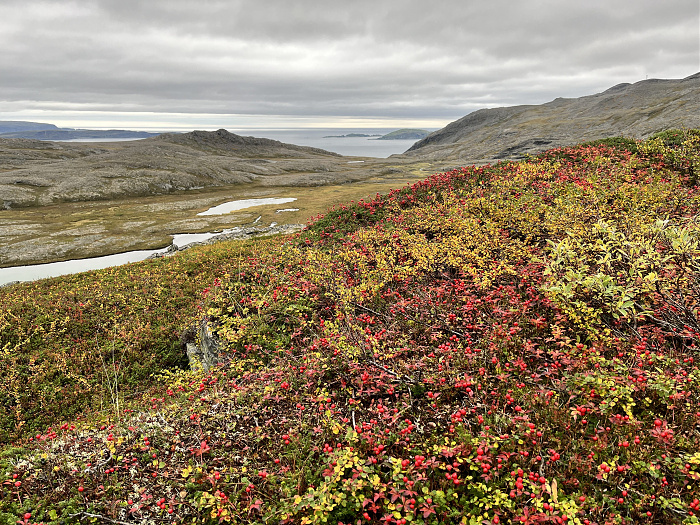 Klicke auf die Grafik für eine vergrößerte Ansicht  Name: 20230-09 Varanger - 002220.jpg Ansichten: 0 Größe: 6,66 MB ID: 3255530