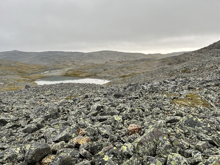 Klicke auf die Grafik für eine vergrößerte Ansicht  Name: 20230-09 Varanger - 002240.jpg Ansichten: 0 Größe: 5,14 MB ID: 3255538