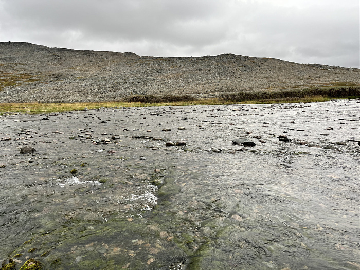 Klicke auf die Grafik für eine vergrößerte Ansicht  Name: 20230-09 Varanger - 002281.jpg Ansichten: 0 Größe: 4,94 MB ID: 3255546