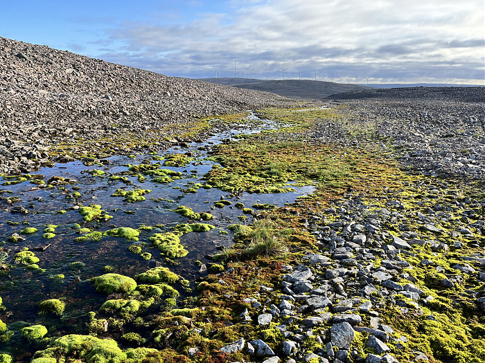 Klicke auf die Grafik für eine vergrößerte Ansicht  Name: 20230-09 Varanger - 002329.jpg Ansichten: 0 Größe: 7,23 MB ID: 3255937