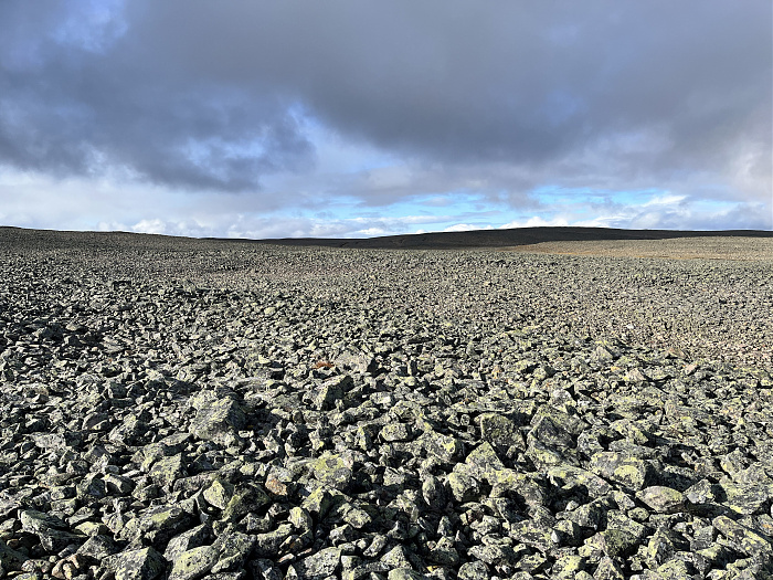 Klicke auf die Grafik für eine vergrößerte Ansicht  Name: 20230-09 Varanger - 002428.jpg Ansichten: 0 Größe: 5,51 MB ID: 3256004