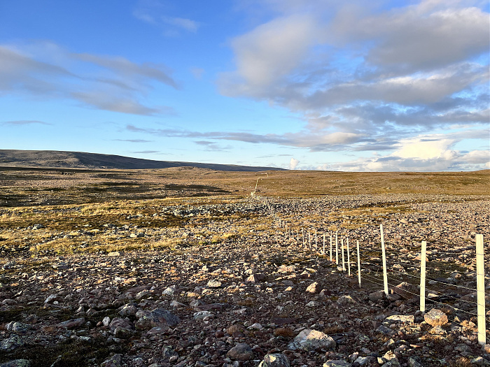 Klicke auf die Grafik für eine vergrößerte Ansicht  Name: 20230-09 Varanger - 002472.jpg Ansichten: 0 Größe: 4,88 MB ID: 3256024