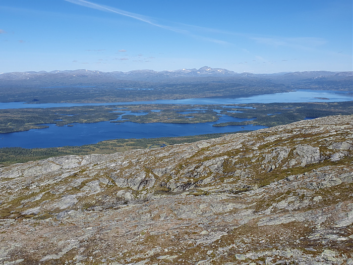 Klicke auf die Grafik für eine vergrößerte Ansicht

Name: 202308_NOR_Borgefjell_253.jpg
Ansichten: 258
Größe: 4,23 MB
ID: 3256047