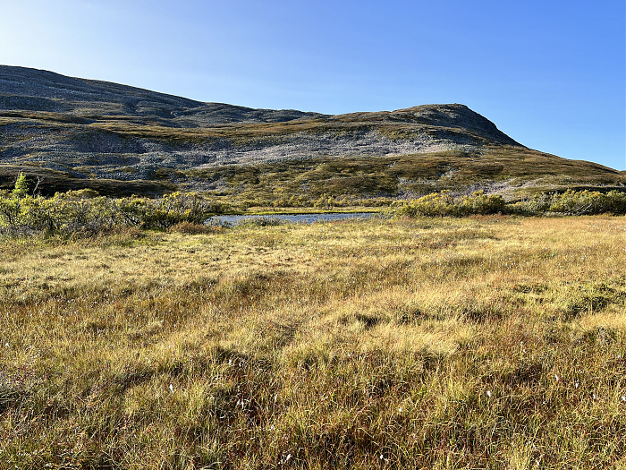 Klicke auf die Grafik für eine vergrößerte Ansicht  Name: 20230-09 Varanger - 002526.jpg Ansichten: 0 Größe: 7,33 MB ID: 3256089