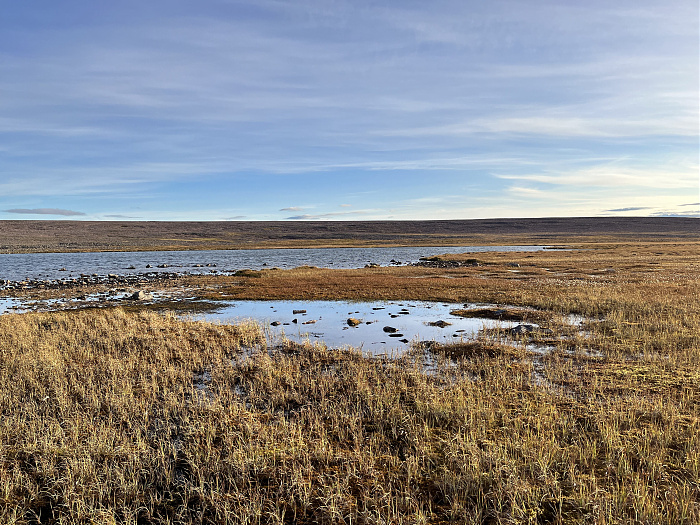Klicke auf die Grafik für eine vergrößerte Ansicht  Name: 20230-09 Varanger - 002563.jpg Ansichten: 0 Größe: 5,59 MB ID: 3256109