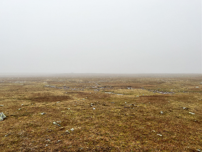 Klicke auf die Grafik für eine vergrößerte Ansicht  Name: 20230-09 Varanger - 002574.jpg Ansichten: 0 Größe: 3,97 MB ID: 3256162