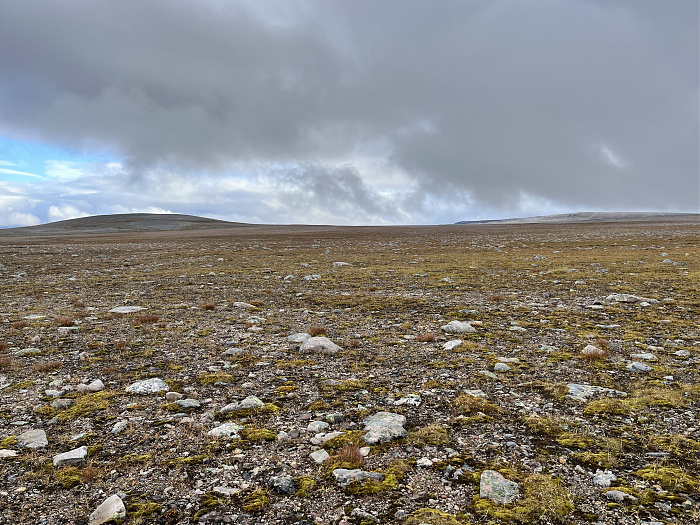 Klicke auf die Grafik für eine vergrößerte Ansicht  Name: 20230-09 Varanger - 002599.jpg Ansichten: 0 Größe: 5,10 MB ID: 3256168