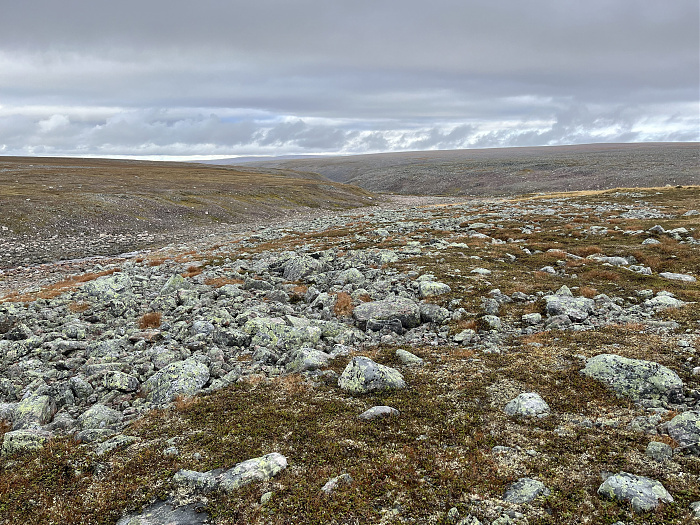 Klicke auf die Grafik für eine vergrößerte Ansicht  Name: 20230-09 Varanger - 002594.jpg Ansichten: 0 Größe: 5,97 MB ID: 3256171