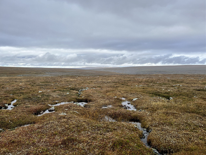 Klicke auf die Grafik für eine vergrößerte Ansicht  Name: 20230-09 Varanger - 002597.jpg Ansichten: 0 Größe: 4,71 MB ID: 3256172