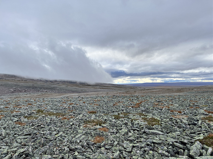Klicke auf die Grafik für eine vergrößerte Ansicht  Name: 20230-09 Varanger - 002612.jpg Ansichten: 0 Größe: 4,14 MB ID: 3256174