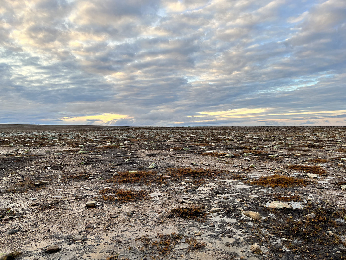 Klicke auf die Grafik für eine vergrößerte Ansicht  Name: 20230-09 Varanger - 002672.jpg Ansichten: 0 Größe: 5,01 MB ID: 3256197