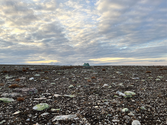 Klicke auf die Grafik für eine vergrößerte Ansicht  Name: 20230-09 Varanger - 002669.jpg Ansichten: 0 Größe: 4,48 MB ID: 3256200