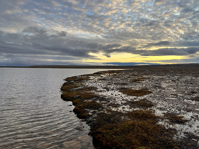 Klicke auf die Grafik für eine vergrößerte Ansicht  Name: 20230-09 Varanger - 002671.jpg Ansichten: 0 Größe: 4,05 MB ID: 3256201