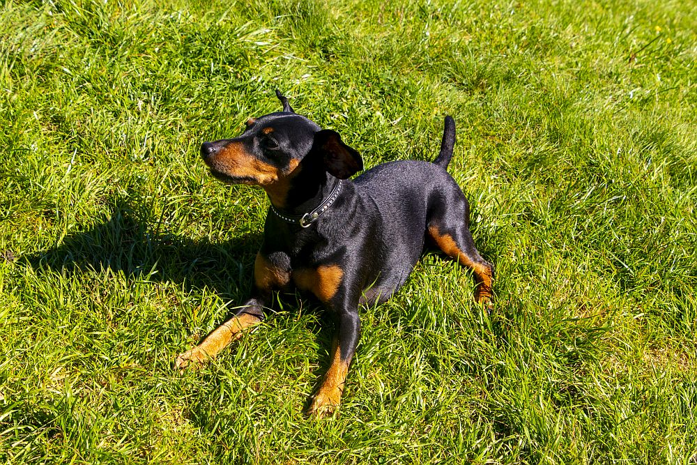 Klicke auf die Grafik für eine vergrößerte Ansicht  Name: dataurl639499.png Ansichten: 0 Größe: 1,94 MB ID: 3256287