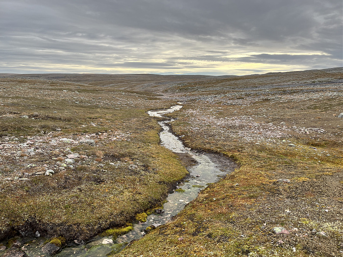 Klicke auf die Grafik für eine vergrößerte Ansicht  Name: 20230-09 Varanger - 002699.jpg Ansichten: 0 Größe: 5,64 MB ID: 3256431