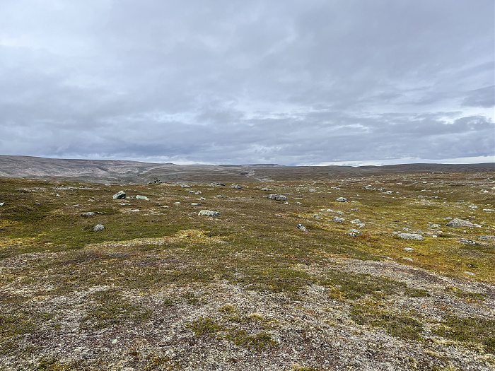 Klicke auf die Grafik für eine vergrößerte Ansicht  Name: 20230-09 Varanger - 002703.jpg Ansichten: 0 Größe: 5,09 MB ID: 3256433