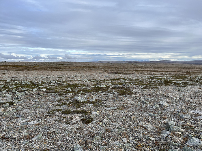 Klicke auf die Grafik für eine vergrößerte Ansicht  Name: 20230-09 Varanger - 002720.jpg Ansichten: 0 Größe: 5,50 MB ID: 3256440