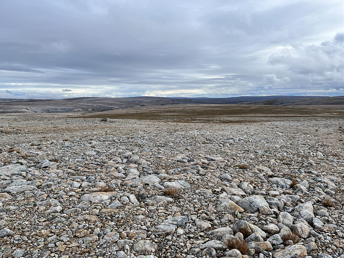 Klicke auf die Grafik für eine vergrößerte Ansicht  Name: 20230-09 Varanger - 002721.jpg Ansichten: 0 Größe: 5,06 MB ID: 3256448