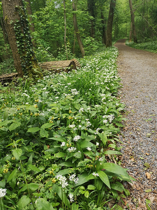 Klicke auf die Grafik für eine vergrößerte Ansicht

Name: Waldweg.jpg
Ansichten: 262
Größe: 3,58 MB
ID: 3256480