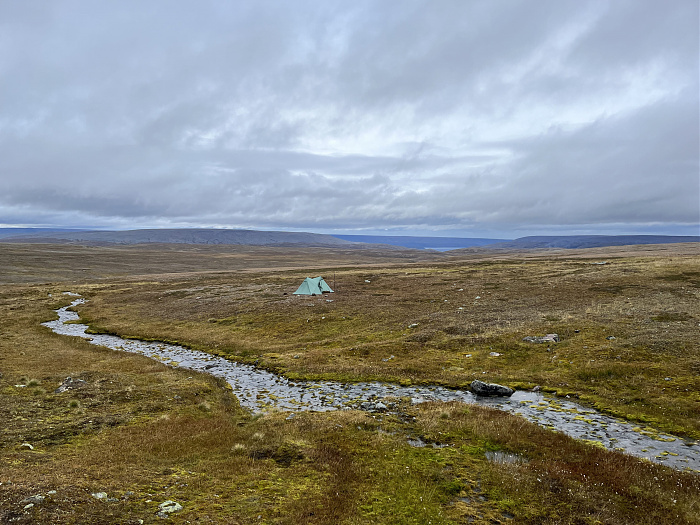 Klicke auf die Grafik für eine vergrößerte Ansicht  Name: 20230-09 Varanger - 002769.jpg Ansichten: 0 Größe: 3,87 MB ID: 3256502