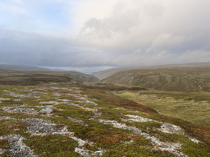 Klicke auf die Grafik für eine vergrößerte Ansicht  Name: 20230-09 Varanger - 002802.jpg Ansichten: 0 Größe: 4,36 MB ID: 3256509