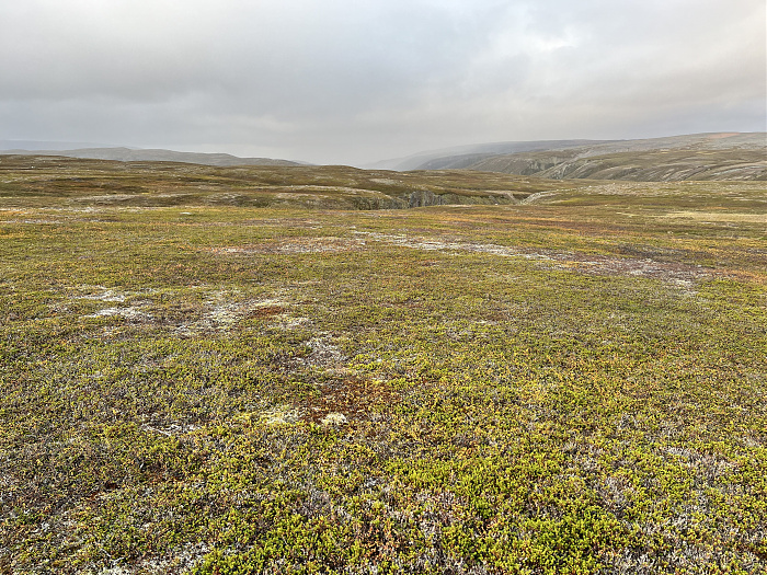 Klicke auf die Grafik für eine vergrößerte Ansicht  Name: 20230-09 Varanger - 002793.jpg Ansichten: 0 Größe: 6,99 MB ID: 3256511