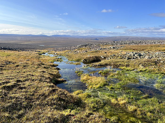 Klicke auf die Grafik für eine vergrößerte Ansicht  Name: 20230-09 Varanger - 002899.jpg Ansichten: 0 Größe: 6,44 MB ID: 3256552