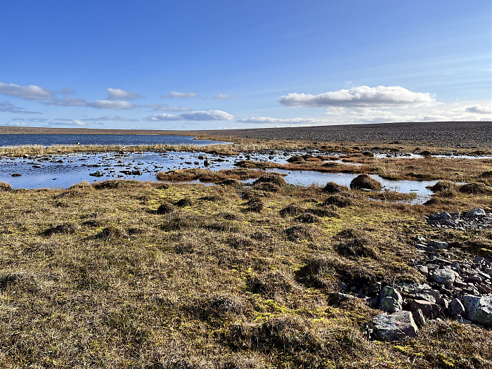 Klicke auf die Grafik für eine vergrößerte Ansicht  Name: 20230-09 Varanger - 002905.jpg Ansichten: 0 Größe: 6,45 MB ID: 3256553