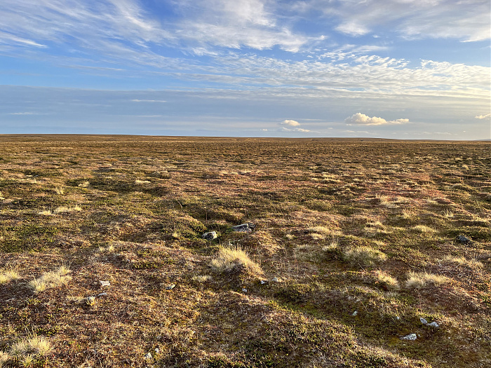 Klicke auf die Grafik für eine vergrößerte Ansicht  Name: 20230-09 Varanger - 002937.jpg Ansichten: 0 Größe: 6,10 MB ID: 3256556