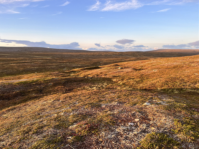 Klicke auf die Grafik für eine vergrößerte Ansicht  Name: 20230-09 Varanger - 002952.jpg Ansichten: 0 Größe: 6,31 MB ID: 3256568