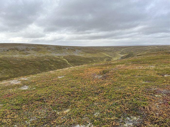 Klicke auf die Grafik für eine vergrößerte Ansicht  Name: 20230-09 Varanger - 002977.jpg Ansichten: 0 Größe: 5,56 MB ID: 3256622